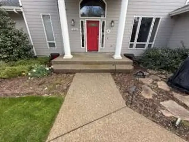 Before: Front Entry Walk, the bare concrete