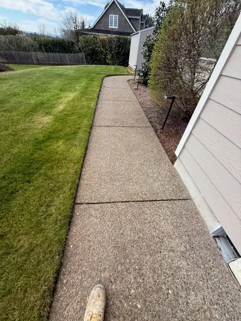 Before: Side Walkway, the bare concrete